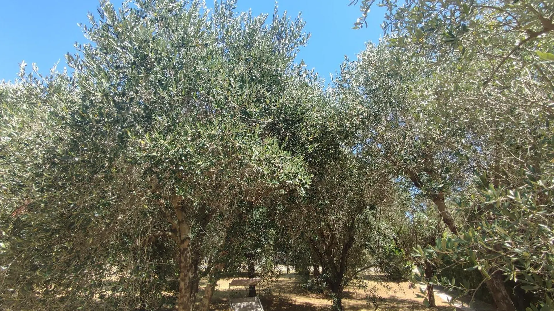 Podere Fichidimare カンピーリア・マリッティマ 0*,  イタリア