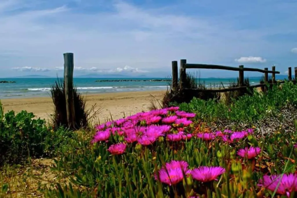 Podere Fichidimare Campiglia Marittima Holiday home