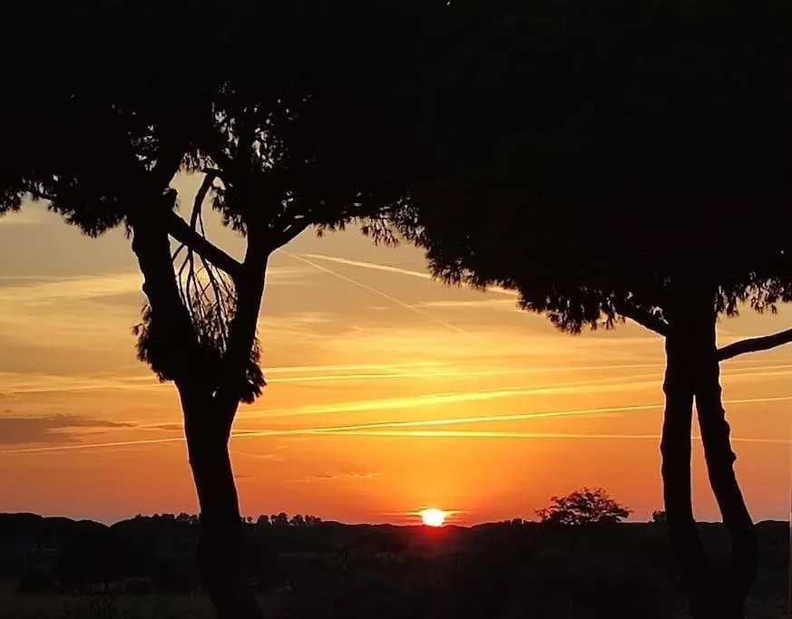 Holiday home Podere Fichidimare Campiglia Marittima