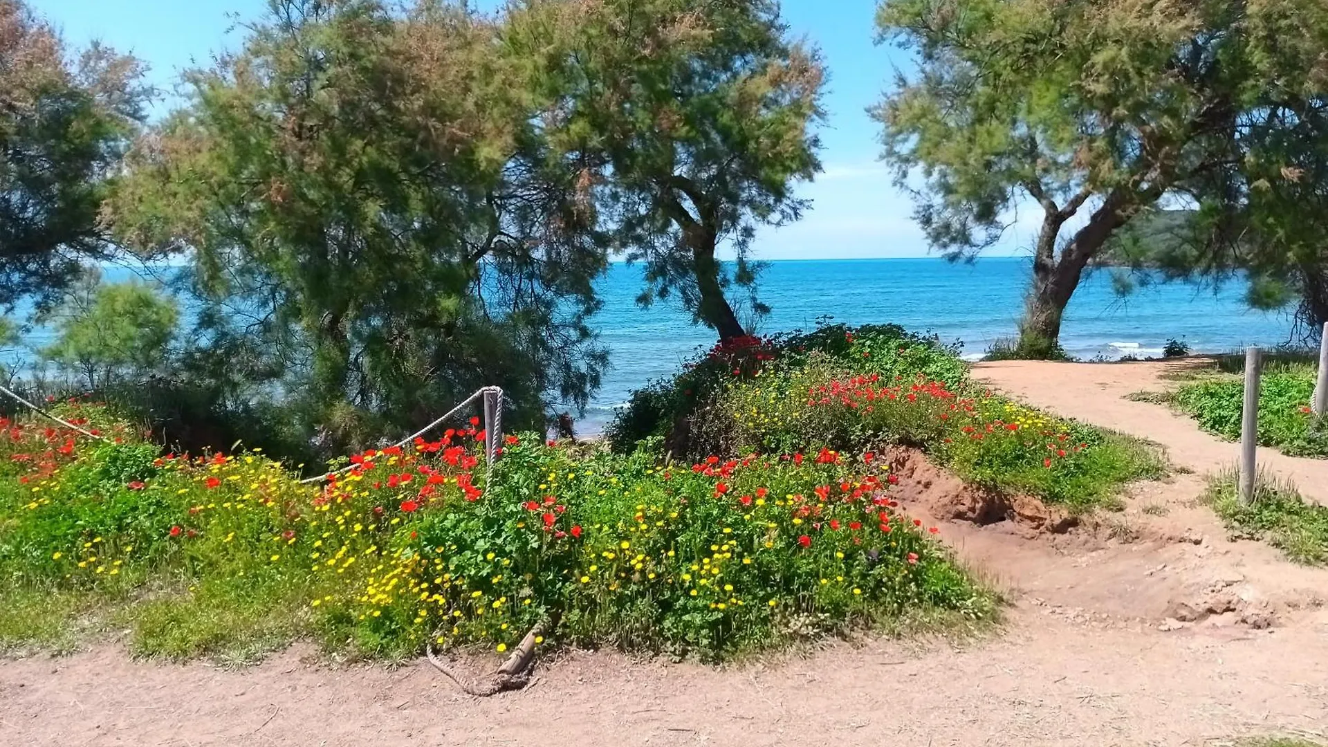 Holiday home Podere Fichidimare Campiglia Marittima Italy